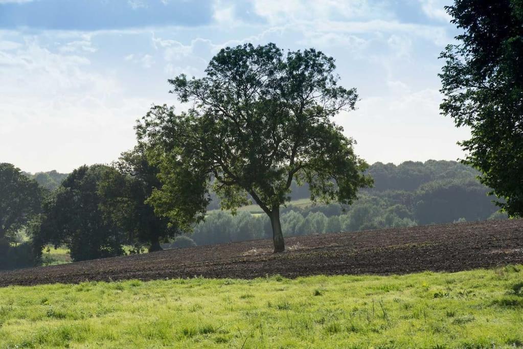 The Stables, Relax In 5 Star Style And Comfort With Lovely Walks All Around Great Maplestead Exterior photo